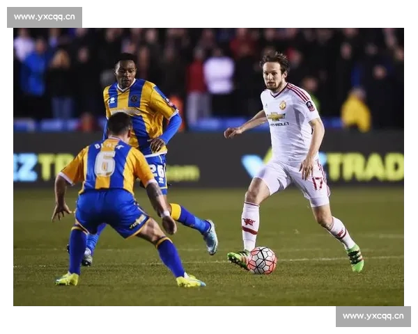 高清足球赛事直播APP下载指南畅享全球赛场精彩即时比分数据分析权威解说 - 副本 (49) - 副本 - 副本 - 副本